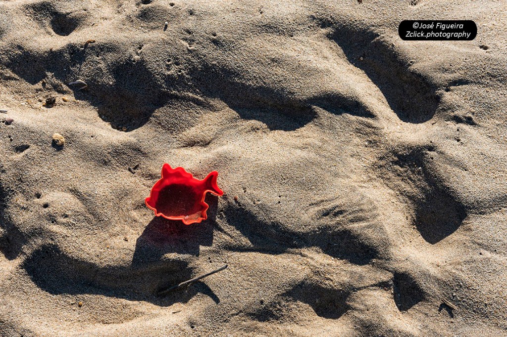 “Uma nova espécie, o Peixe Plástico – A new species, the Plastic&nbsp;Fish”