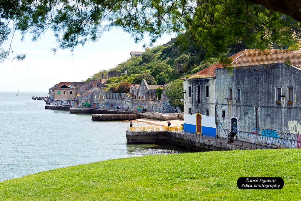 “A frescura da luz da manhã – The freshness of the morning&nbsp;light”