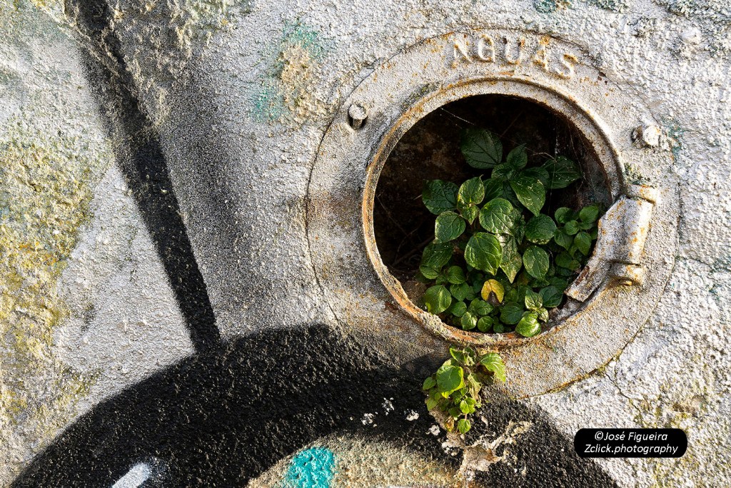 “Águas são fonte de vida – Waters are the source of&nbsp;life”