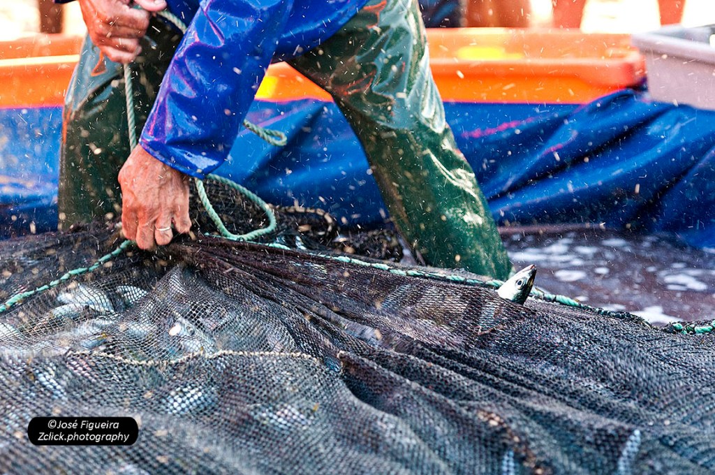 “O Saco vem cheio – The bag is full”