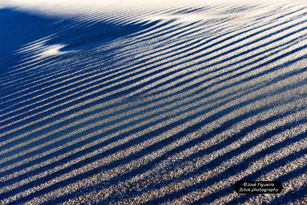 “Podia ser noutro planeta mas é na Terra. – It could be on another planet but it is on&nbsp;Earth.”