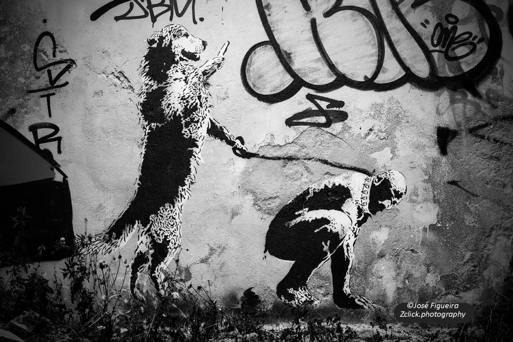 “Quatro patas bom, duas patas mau – Four legs good, two legs bad”