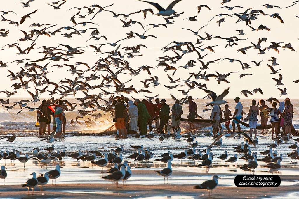 “Re(de)luzente – Re(de)lustrous”