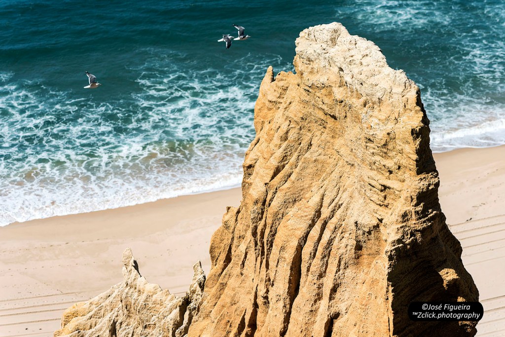 “Sobranceiro me elevo… – I rise above…”