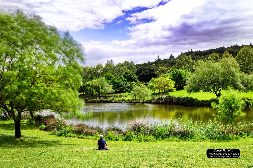 Momentos de estar comigo – Moments of being with&nbsp;me