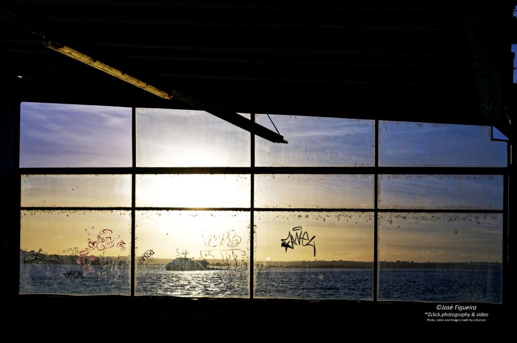 A caminho de casa – On the way&nbsp;home