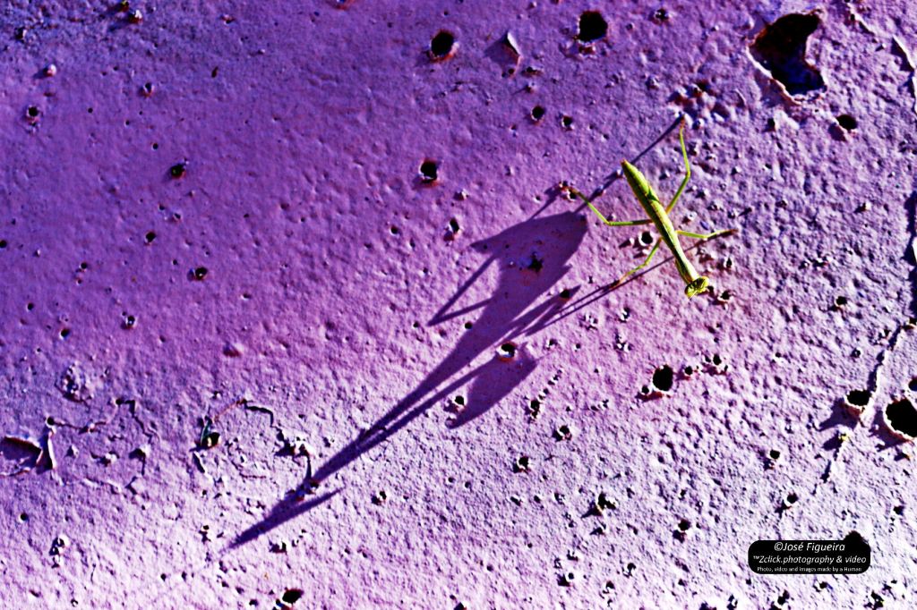 Eu e a minha sombra, dois em um – Me and my shadow, two in&nbsp;one