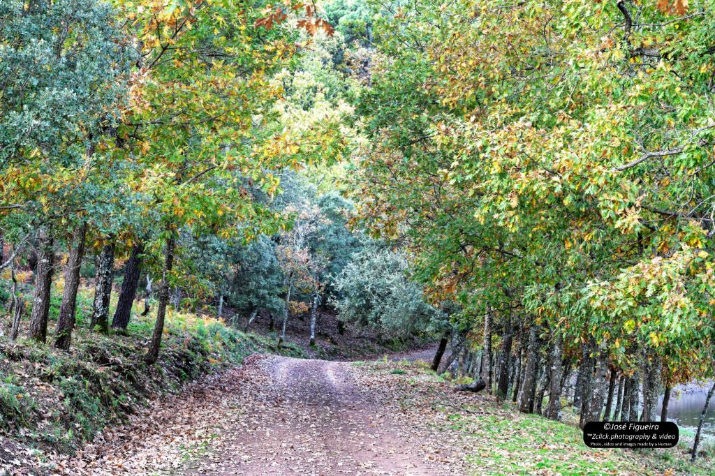 É outono na Malcata – It’s autumn in&nbsp;Malcata