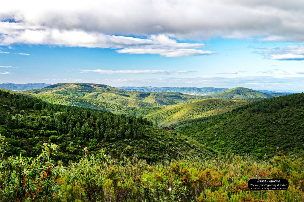 Jarrões da Malcata – Malcata&nbsp;Jars