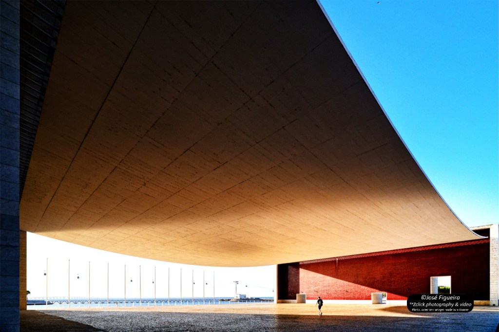 Pala do Pavilhão de Portugal – Pavilion of Portugal&nbsp;Canopy